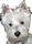 Westie